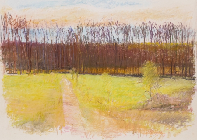 Uphill Path - Apple Pie Ridge, 1989,  Pastel on paper, 30 x 40 inches, Wolf Kahn art for sale, Wolf Kahn Landscape, Wolf Kahn Pastels